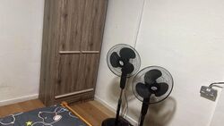 Hougang Avenue 5 (Hougang),  #561584471